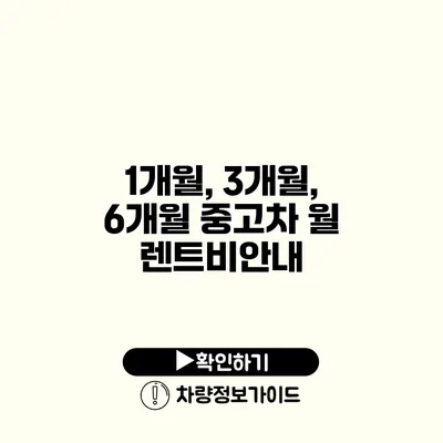 1개월, 3개월, 6개월 중고차 월 렌트비안내