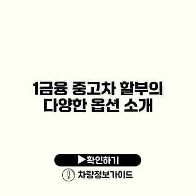 1금융 중고차 할부의 다양한 옵션 소개