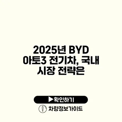 2025년 BYD 아토3 전기차, 국내 시장 전략은?