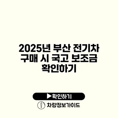 2025년 부산 전기차 구매 시 국고 보조금 확인하기