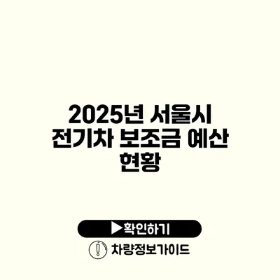 2025년 서울시 전기차 보조금 예산 현황