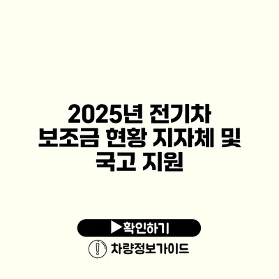 2025년 전기차 보조금 현황 지자체 및 국고 지원