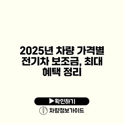 2025년 차량 가격별 전기차 보조금, 최대 혜택 정리