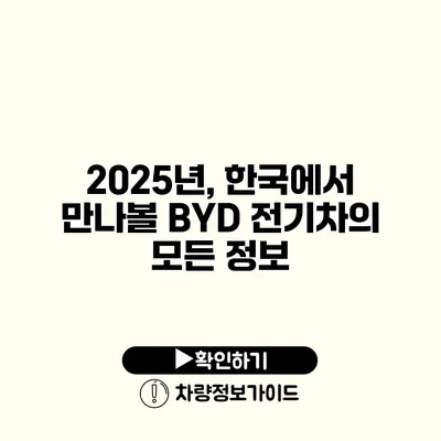 2025년, 한국에서 만나볼 BYD 전기차의 모든 정보