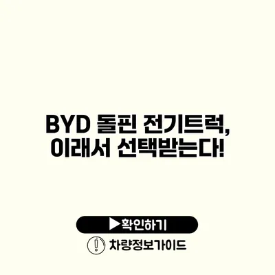 BYD 돌핀 전기트럭, 이래서 선택받는다!