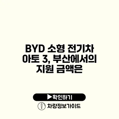 BYD 소형 전기차 아토 3, 부산에서의 지원 금액은?