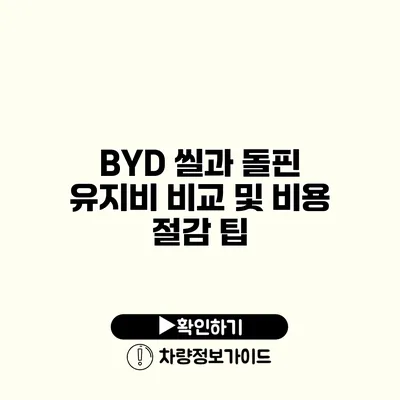 BYD 씰과 돌핀 유지비 비교 및 비용 절감 팁