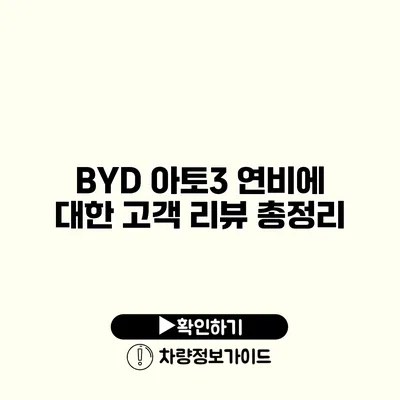 BYD 아토3 연비에 대한 고객 리뷰 총정리