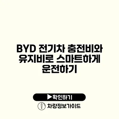 BYD 전기차 충전비와 유지비로 스마트하게 운전하기