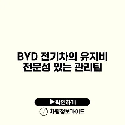 BYD 전기차의 유지비 전문성 있는 관리팁