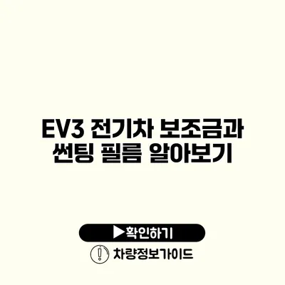 EV3 전기차 보조금과 썬팅 필름 알아보기