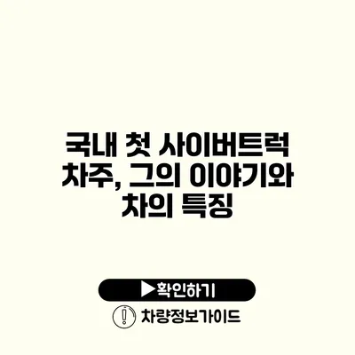 국내 첫 사이버트럭 차주, 그의 이야기와 차의 특징