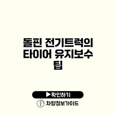 돌핀 전기트럭의 타이어 유지보수 팁