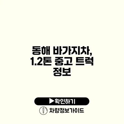 동해 바가지차, 1.2톤 중고 트럭 정보