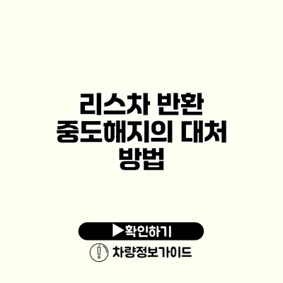 리스차 반환 중도해지의 대처 방법