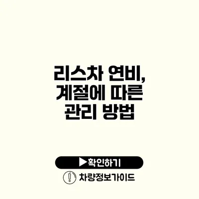 리스차 연비, 계절에 따른 관리 방법