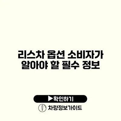 리스차 옵션 소비자가 알아야 할 필수 정보