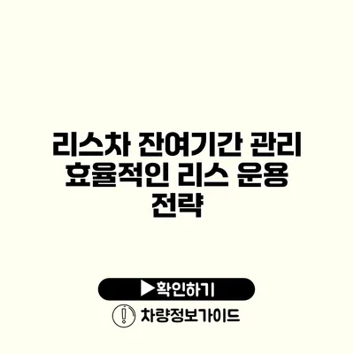 리스차 잔여기간 관리 효율적인 리스 운용 전략