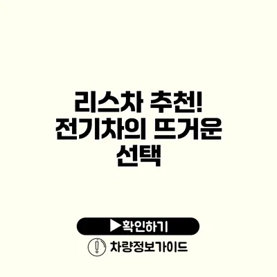 리스차 추천! 전기차의 뜨거운 선택