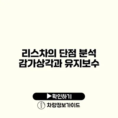 리스차의 단점 분석 감가상각과 유지보수