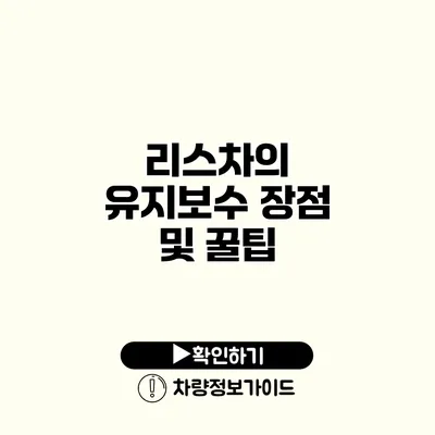 리스차의 유지보수 장점 및 꿀팁