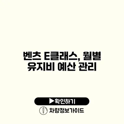 벤츠 E클래스, 월별 유지비 예산 관리