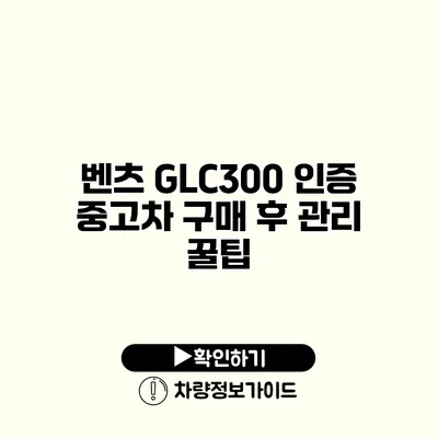 벤츠 GLC300 인증 중고차 구매 후 관리 꿀팁