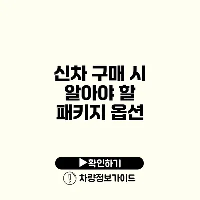 신차 구매 시 알아야 할 패키지 옵션