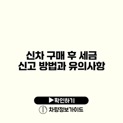 신차 구매 후 세금 신고 방법과 유의사항