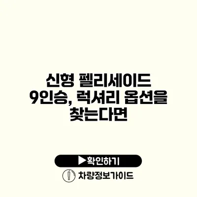 신형 펠리세이드 9인승, 럭셔리 옵션을 찾는다면?