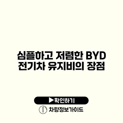 심플하고 저렴한 BYD 전기차 유지비의 장점