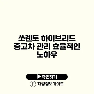 쏘렌토 하이브리드 중고차 관리 효율적인 노하우