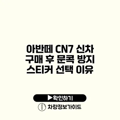 아반떼 CN7 신차 구매 후 문콕 방지 스티커 선택 이유