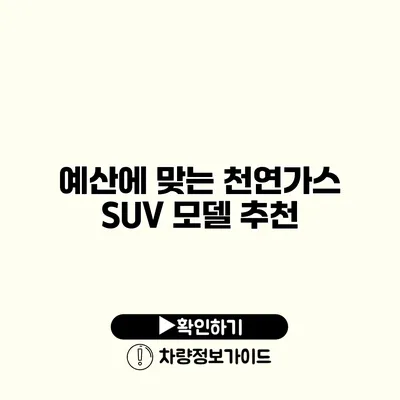 예산에 맞는 천연가스 SUV 모델 추천