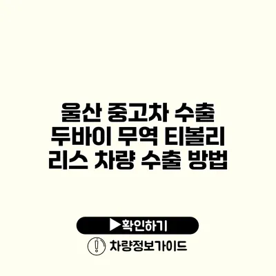 울산 중고차 수출 두바이 무역 티볼리 리스 차량 수출 방법