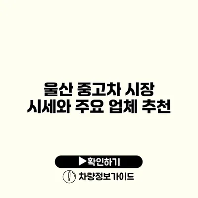 울산 중고차 시장 시세와 주요 업체 추천