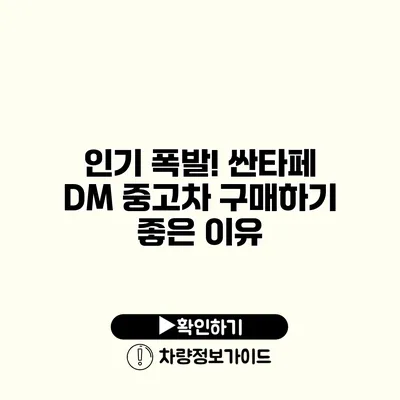 인기 폭발! 싼타페 DM 중고차 구매하기 좋은 이유