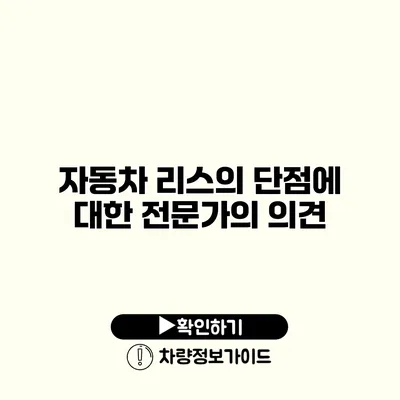 자동차 리스의 단점에 대한 전문가의 의견