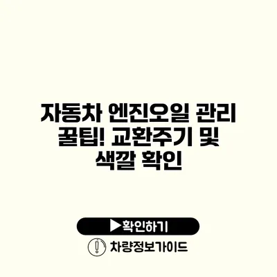 자동차 엔진오일 관리 꿀팁! 교환주기 및 색깔 확인