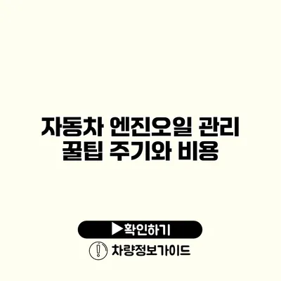 자동차 엔진오일 관리 꿀팁: 주기와 비용