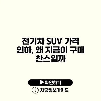 전기차 SUV 가격 인하, 왜 지금이 구매 찬스일까?