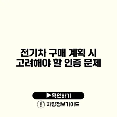 전기차 구매 계획 시 고려해야 할 인증 문제