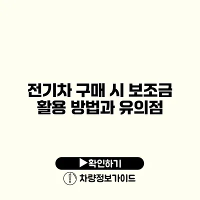 전기차 구매 시 보조금 활용 방법과 유의점