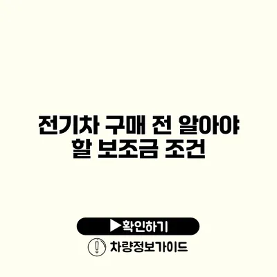 전기차 구매 전 알아야 할 보조금 조건