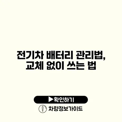 전기차 배터리 관리법, 교체 없이 쓰는 법