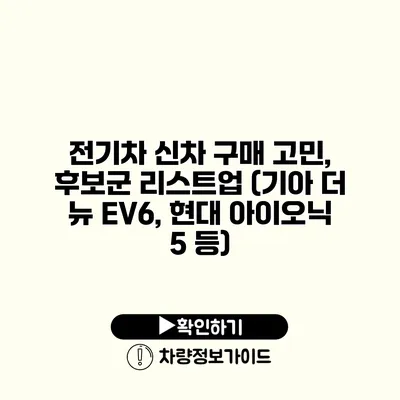 전기차 신차 구매 고민, 후보군 리스트업 (기아 더 뉴 EV6, 현대 아이오닉 5 등)