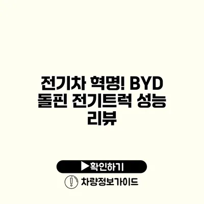 전기차 혁명! BYD 돌핀 전기트럭 성능 리뷰