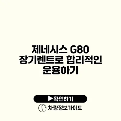 제네시스 G80 장기렌트로 합리적인 운용하기