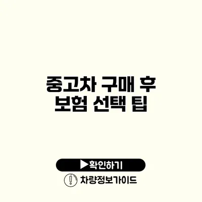 중고차 구매 후 보험 선택 팁