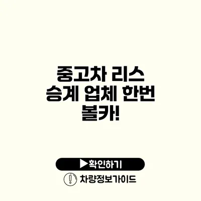 중고차 리스 승계 업체 한번 볼카!